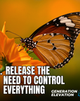The Protector Full Journey: 14 Guided Meditations to Release Overthinking, Perfectionism and the Need to Hold Everything Together