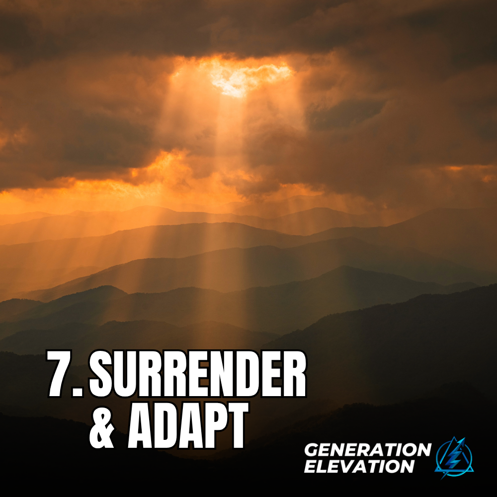 Surrender &amp; Adapt